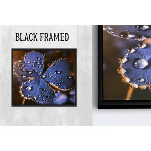 Décoration moderne pour la maison : toile imprimée - Verre à gouttes d'eau florales, toile encadrée noire 1P - Product Image 1