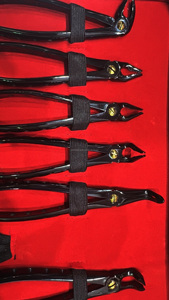 WORLD PRECISION SURGICAL Kit chirurgical manuel d'extraction dentaire en argent, 10 pièces, en acier inoxydable, avec poignée ergonomique, CE - Product Image 2