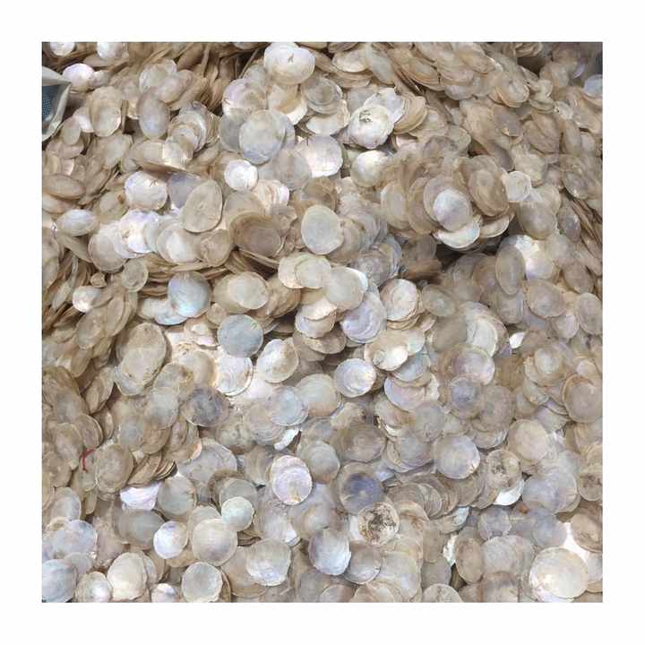 Wholesale High Quality Natural Capiz Shell for Craft & Decoration