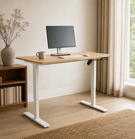 Bureau assis-debout ergonomique OEM, table d'ordinateur électrique réglable en hauteur avec plateau en bois clair et contrôle de mémoire