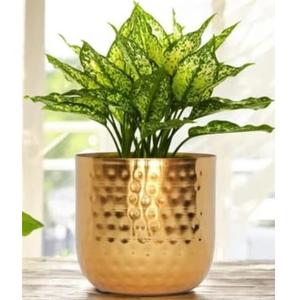 Ensemble de 2 pots de fleurs décoratifs en métal vert, best-sellers, finition émaillée, support pour plantes d'intérieur - Product Image 2