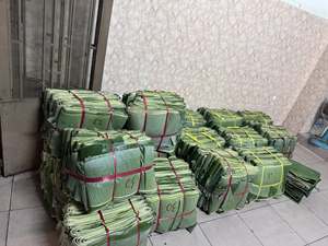 ใบกล้วยอบแห้งเล็กน้อยจากผู้ผลิต (OEM) สำหรับการผลิตภาชนะบรรจุอาหารย่อยสลายได้ทางชีวภาพ - Product Image 4