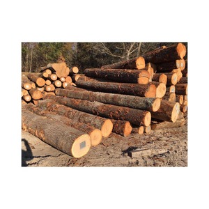 HOT <b>SALE</b> 100% ACACIA FIREWOOD Netherlands Custom Brand CHEAP PRICE READY - Product Image 6