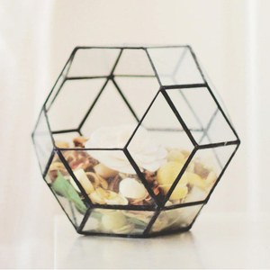 Premium Quality Design Brass Border Black Coated Clear Glass <b>Geometric</b> <b>Terrarium</b> Custom Size Tabletop Decoration Home Office - Product Image 4