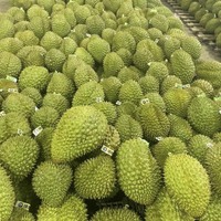 Vietnam Verse Durian Type Monthong Durian Ri6 Durian Premium Kwaliteit Beste Prijs 84931442377