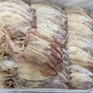 EXPORT INTHE BULK DRIED SQUID | GETROCKNETER SQUID NATURAL, GOOG PREIS - Product Image 1