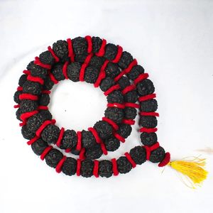 Rudraksha Mala 1 à 14 visage Shahi Sarva Siddha Mala Original certifié un à quatorze Mukhi Rudraksha Malaa - Product Image 3