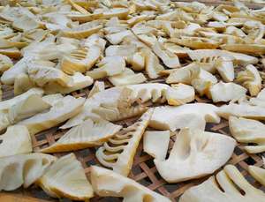 PRODUCTOS AGRÍCOLAS DE EXPORTACIÓN SUPERIOR DE VIETNAM: DISPAROS DE BAMBÚ SECOS BUEN PRECIO EN EL MERCADO/ALTA CALIDAD - Product Image 2