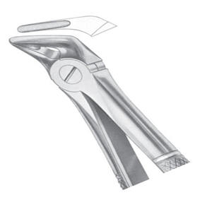 Forceps chirurgicaux manuels en acier inoxydable de haute qualité, incisives supérieures et canines, certifiés CE, garantie à vie - Product Image 2