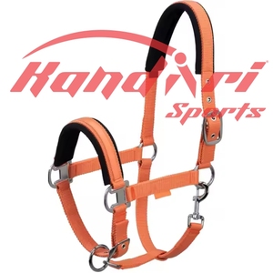 Cabestros de caballo personalizados al por mayor, Halter práctico de alta calidad para cuello de cabeza de caballo, Halter duradero de calidad 100% - Product Image 6
