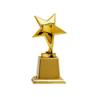 Star Style New Look Cup Award Trophy Trophy Coupes/vente en gros Médaille d'honneur personnalisée Metal Sport Award