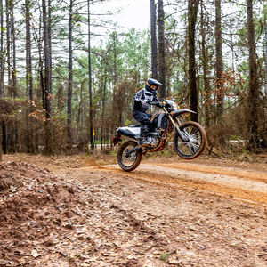 Honda CRF 300LS 2024 - Product Image 6