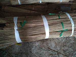 Escoba de Coco Resistente con Cerdas Duras, Apta para Eliminar el Polvo en Exteriores, Suministro al por Mayor desde Vietnam - Product Image 3