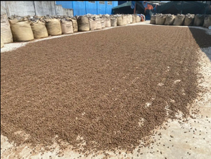 Granulés de bagasse de canne à sucre de qualité supérieure-exportés du Vietnam à des prix compétitifs - Product Image 4