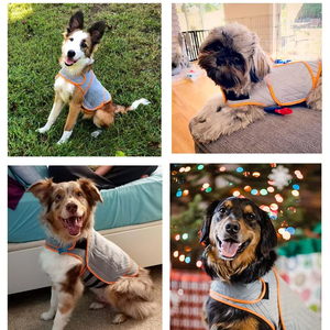 Vente en gros de vêtements pour chiens Veste légère et chaude avec capuche en fourrure pour petits et grands chiens Vestes d'hiver 2025 - Product Image 6
