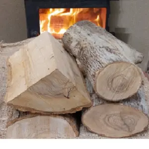 Kurutulmuş ahşap meşe odun fırın yakacak odun satılık günlükleri/akasya ahşap/çam ve kayın odun satılık abd