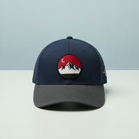 Casquette ajustée de style vintage haut de gamme |   Patch brodé tête de lion |   Logo personnalisé |   Argyle |   Gris marine pour les modes de vie actifs