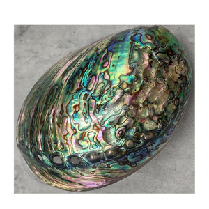 Fournisseur vietnamien de coquille d'ormeau naturel Grande coquille d'ormeau de la mer du Vietnam pour l'exportation et la distribution en gros - Product Image 1