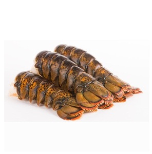 Colas de Langosta Congeladas Premium Proceso BQF 12cm Paquete de 10kg Origen Portugal - Product Image 2