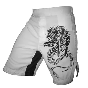 High Quality Best Product Good Selling OEM Service Men Fighting Wear MMA Shorts Fighting Wear Men Clothing