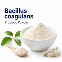 Poudre de Probiotique Bacillus Coagulans de Qualité Alimentaire, Ingrédient de Complément Alimentaire en Vrac Lyophilisé