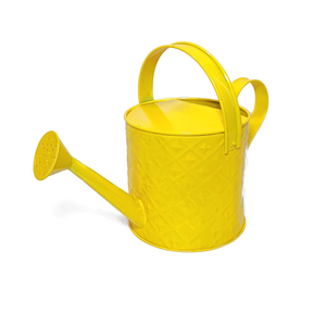 บัวรดน้ำโลหะแบบแฮนด์เมดสำหรับสวนในร่มดีไซน์โบราณโลโก้ตามสั่ง - Product Image 2