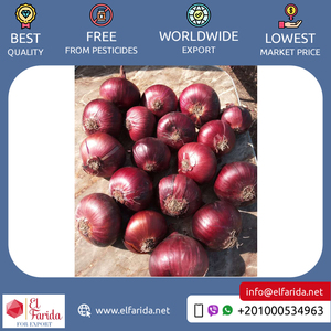 2024 cây trồng mới hàng đầu bán hành tây đỏ tươi chất lượng tuyệt vời xuất khẩu với số lượng lớn từ Ai Cập rau quả tươi - Product Image 4