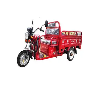 Genuine Threewheel Electric Bicycle Tricycle Radio Pv Push Triciclo