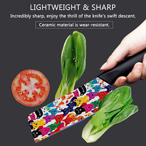 Juego de 5 Cuchillos de Cocina de Cerámica, Cuchillos de Chef, Plástico Resistente, Fabricación en Fábrica, Entrega Rápida, Venta en Línea en Ebay - Product Image 5