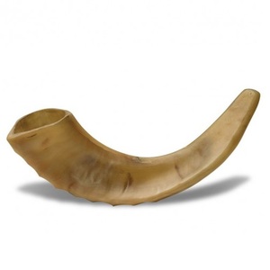 Auténtico Natural 100% Kosher Kudu Ram Sheep Shofar Cuerno Musical Regalo judío inodoro para mujeres y hombres Medio pulido - Product Image 1