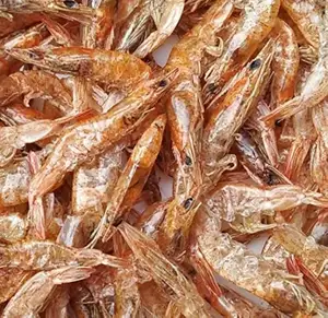 干虾壳用于从越南大量提取壳聚糖