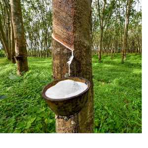 วัตถุดิบแคชเมียร์แท้ 100% สีเหลือง SVR CV 50 (TSR CV) ใช้ได้หลากหลายรูปแบบ ทรงดินสอ สไตล์วินเทจ - Product Image 1