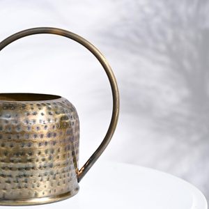 Arrosoir doré brillant, un essentiel de jardin, arrosoir doré luxueux pour des fleurs éclatantes - Product Image 4