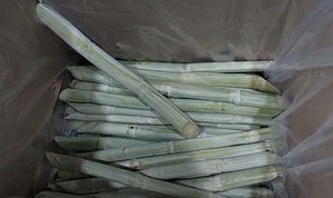 Caña de Azúcar fresca, sabor dulce, 100% Natural - Product Image 2