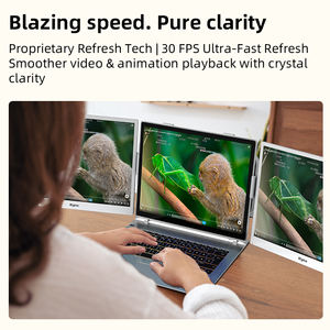 B13-- จอภาพอีเปเปอร์สีขนาด 13.3 นิ้ว ที่เป็นอันดับแรกของโลก - จอเดี่ยว - Product Image 3