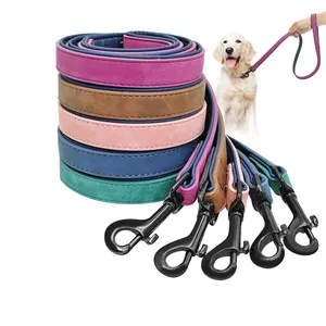 Strong Nylon Training Leash for Large Medium and Small Dogs Cheap Slip Lead Dog Leash OEM Service Custom Logo Brand Leashes