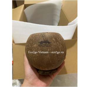 Tasse à la noix de coco écologique avec pailles Verres de haute qualité par Eco2go Vietnam Fabriqué à partir de PC pour un usage domestique - Product Image 2