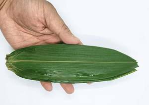 ใบไผ่บริสุทธิ์เป็นมิตรกับสิ่งแวดล้อมสำหรับห่อและทำอาหาร - Product Image 5