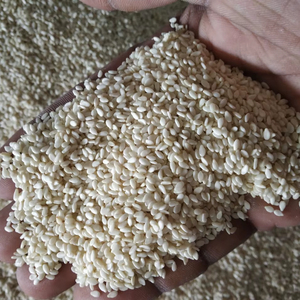 K.N.K Especias, Fabricante, Distribución Mayorista, Suministro y Marketing de Semillas de Sésamo Descascarilladas - Product Image 1