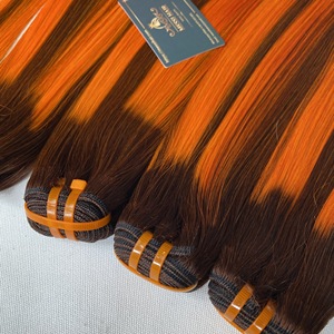 Color superior este verano Piano Color hueso máquina de cabello liso trama doble extensiones de cabello humano vietnamita listas para enviar - Product Image 1