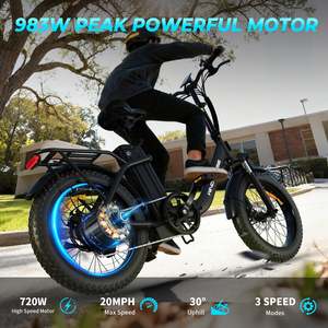 Trottinette électrique Windhorse W4B - Autonomie de 70 miles, vitesse de 20 mph, moteur de 720 W, batterie 48 V/15,6 Ah - Product Image 2