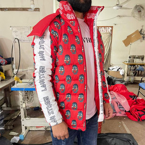 Veste d'hiver matelassée en toile à capuche de style nouveau, vente en gros, haute qualité, imperméable, respirante, écologique - Product Image 5
