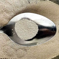 Fabricant professionnel de levure sèche instantanée pour utilisation en boulangerie Usine d'additifs alimentaires de haute qualité à vendre