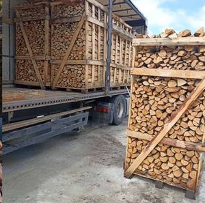 Bois de chauffage de hêtre sec pour la vente en gros - Product Image 3