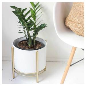 2025 nouvelle arrivée métal jardinière en laiton étain fini jardinière Pots de fleurs décoration de jardin faire votre maison éco-à base de plantes pleine jardinière - Product Image 6