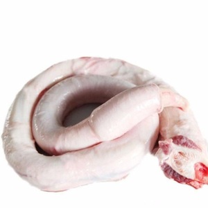 Best price for frozen halal beef <b>pizzle</b> Quality halal beef <b>pizzle</b> for sale - Product Image 4