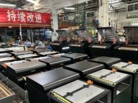 Imprimante DTF à tête d'impression 3200 personnalisée d'usine, avec agitateur de poudre à circulation, machine d'impression de T-shirts par transfert thermique 42 cm, garantie 1 an
