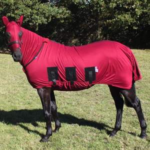 Horse Fly Sheet Mesh Summer Ligero y transpirable Protege de las moscas y mantiene a los caballos frescos - Product Image 3