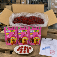 YoloDuck 65g Draagbare Snackverpakking Schattige Eendvormige Fruitgummy Bulk Gummy Candy