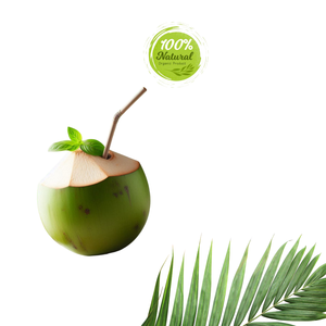 Noix de coco fraîche vietnamienne produit agricole naturellement rafraîchissant - Product Image 5